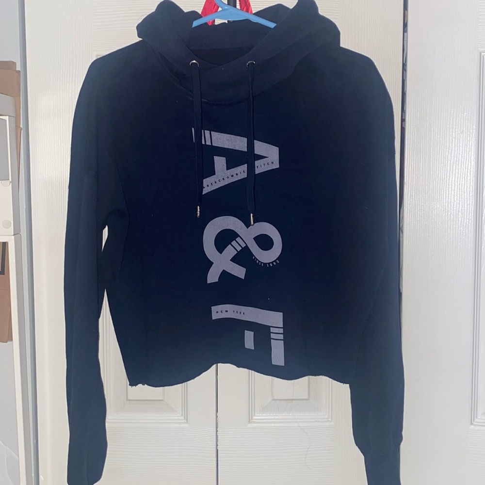 abercrombie and fitch sweatshirt